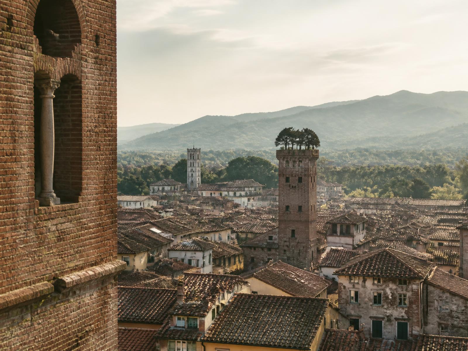 A quieter view across Lucca's rooftops towards the Guinigi Tower and the holm oaks growing on its roof