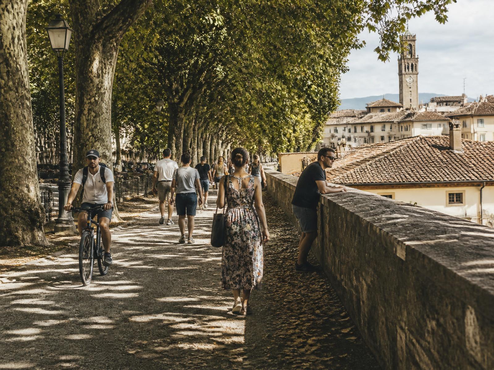 People walking and cycling the tree-lined Renaissance walls that encircle Lucca's historic centre